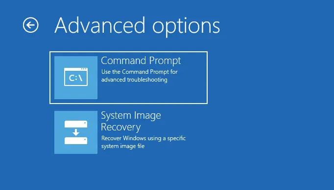 Advanced options command prompt