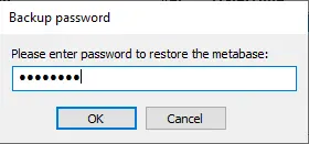 Backup password metabase