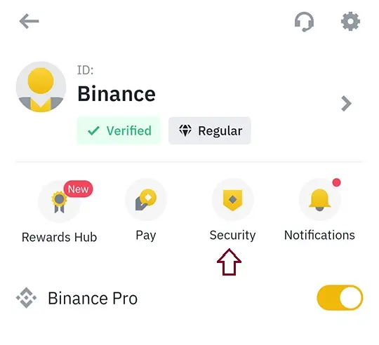 Binance account details