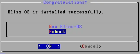 Bliss OS is installed successfully