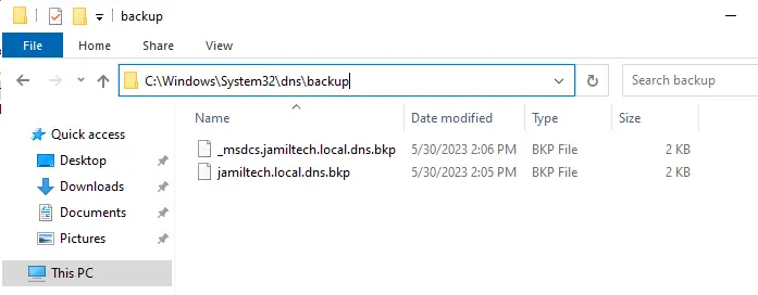 C:\Windows\System32\dns\backup