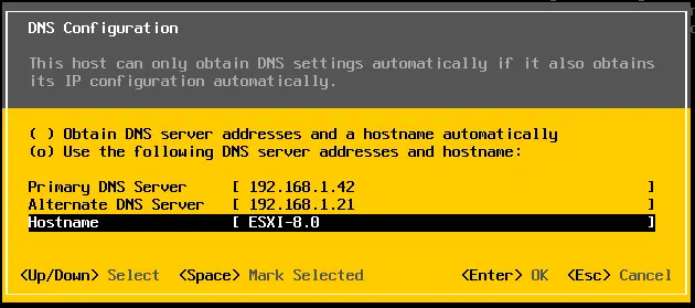 Configure VMware ESXi DNS