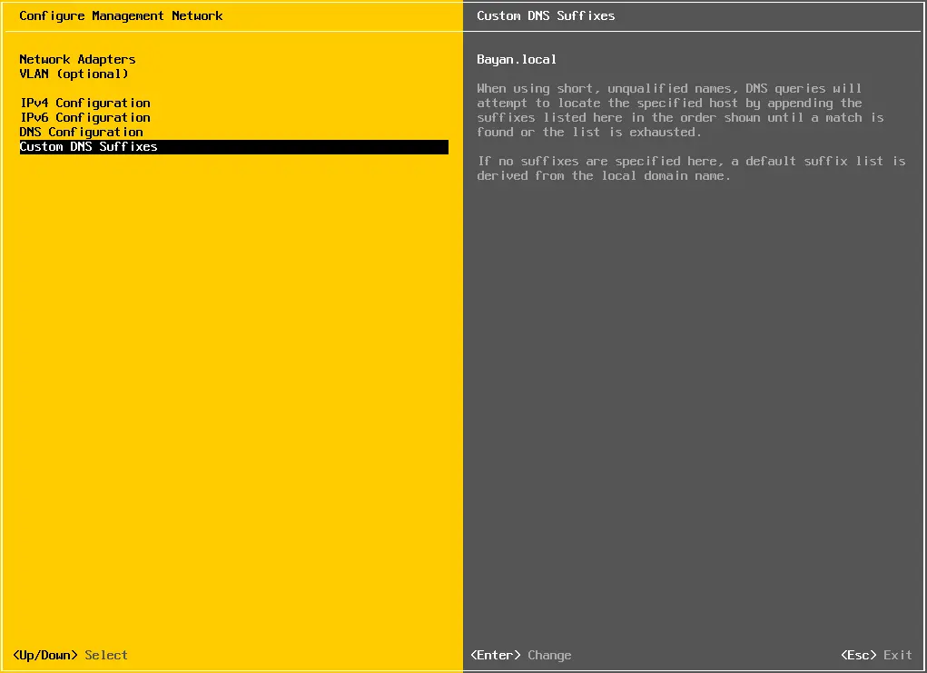 Configure management network ESXi