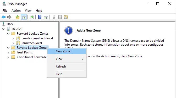 DNS Manager add a new zone