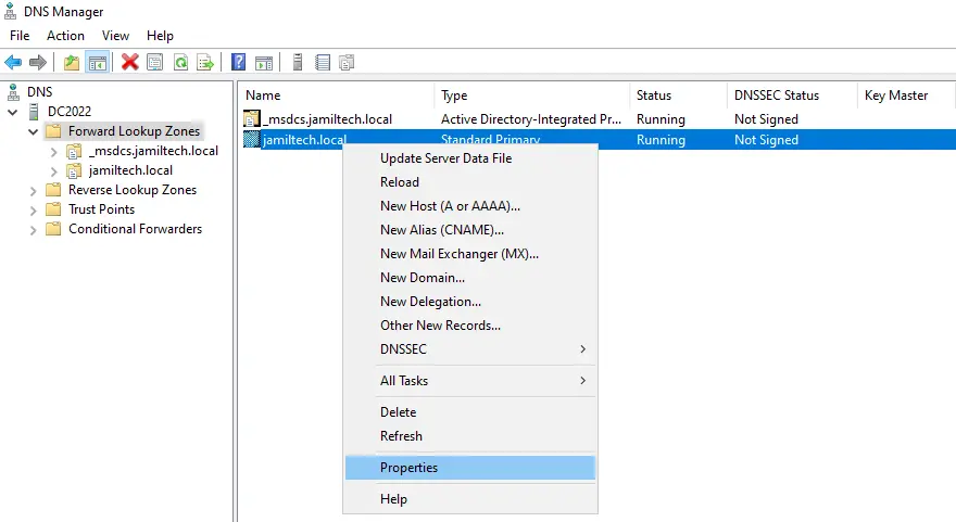 DNS manager