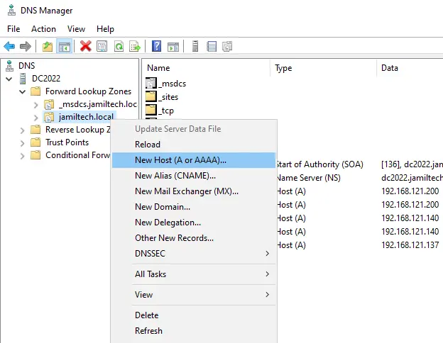 DNS manager add new host