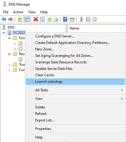 DNS manager launch nslookup