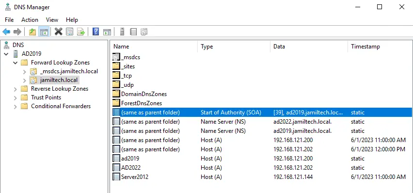 DNS manager local domain