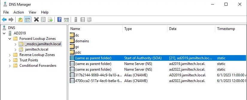 DNS manager local domain