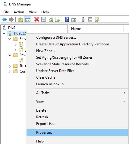 DNS server manager