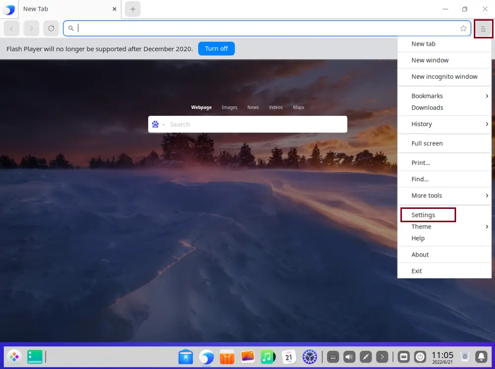 Deepin Internet browser settings