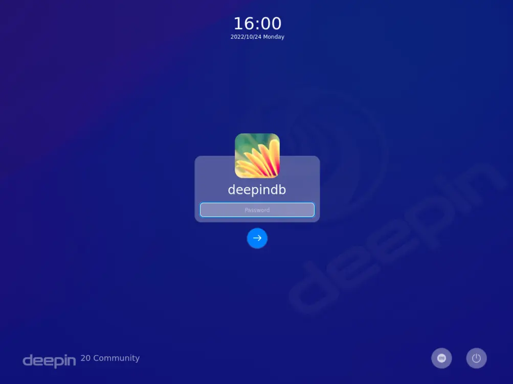 Deepin dual boot Login Screen