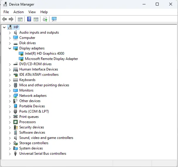 Device manager display adapters