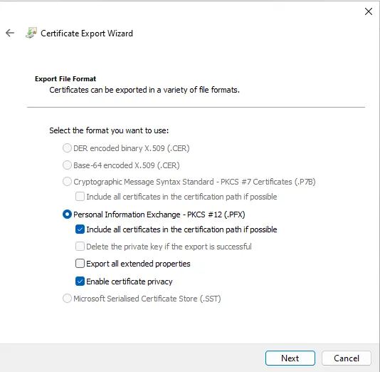 EFS certificate export file format