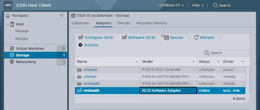 ESXi host adapters