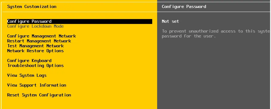 ESXi host system customization