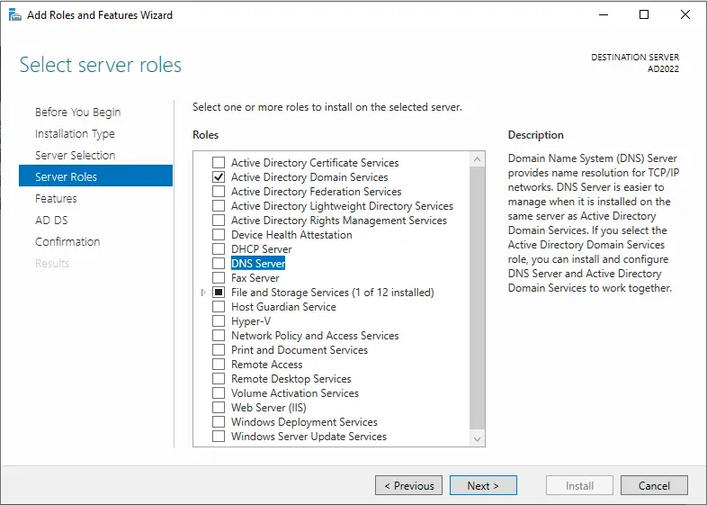 Enable DNS Server Roles