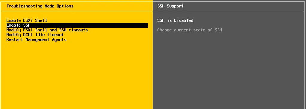 Enable SSH on ESXi