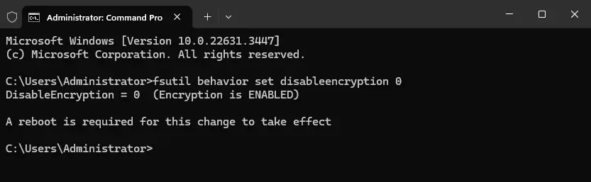 Enable or disable encrypting file system