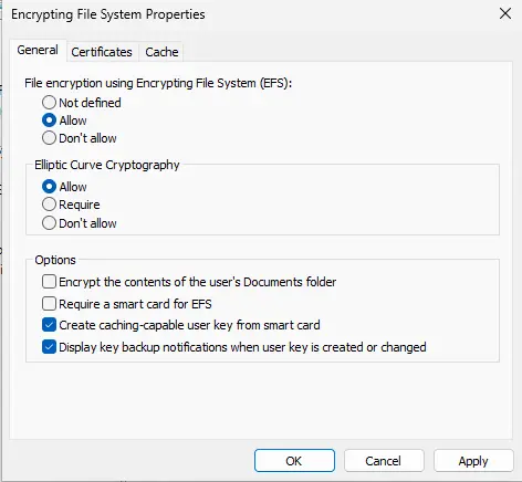 Enable or disable encrypting file system