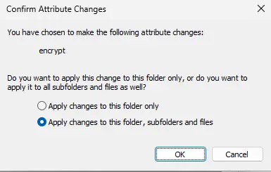 Encrypt file confirm attribute changes