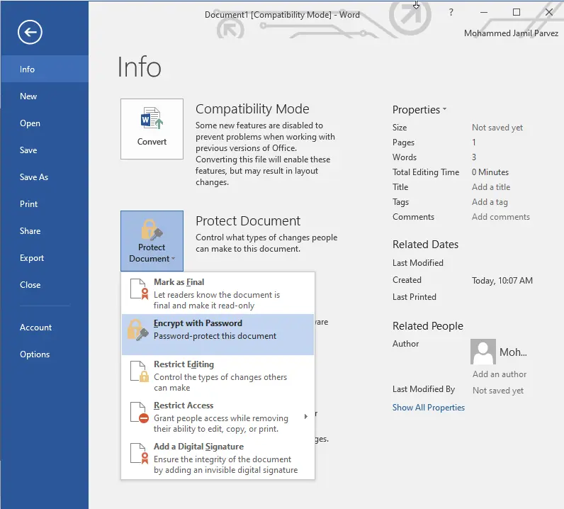 Encrypt file in Word document