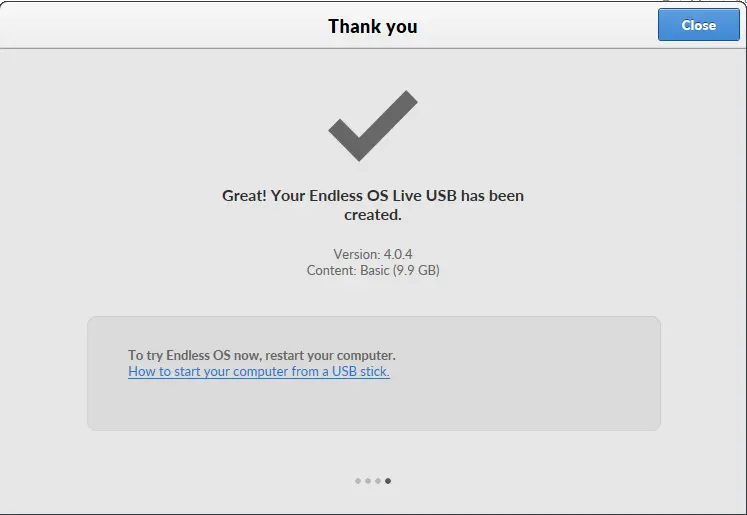 Endless live USB successfully created