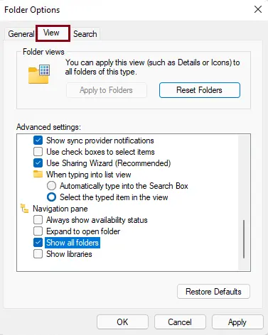 Folder options view tab
