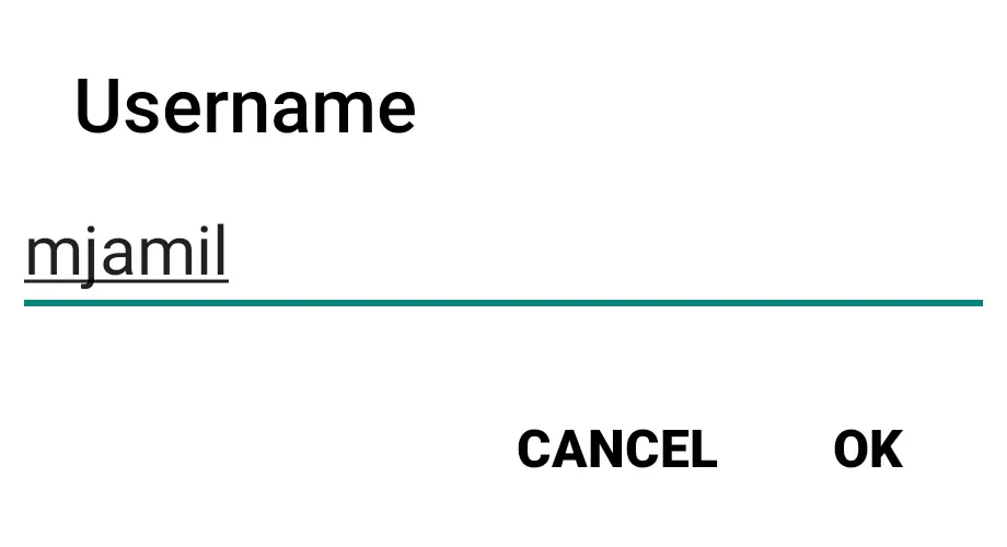 Forticlient VPN username