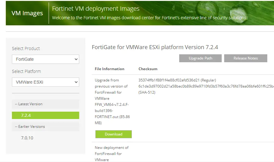 FortiGate for VMware ESXi