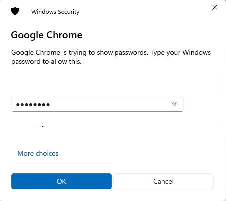 Google Chrome Windows Security