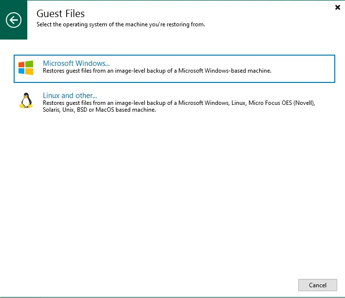 Guest files Veeam Microsoft Windows