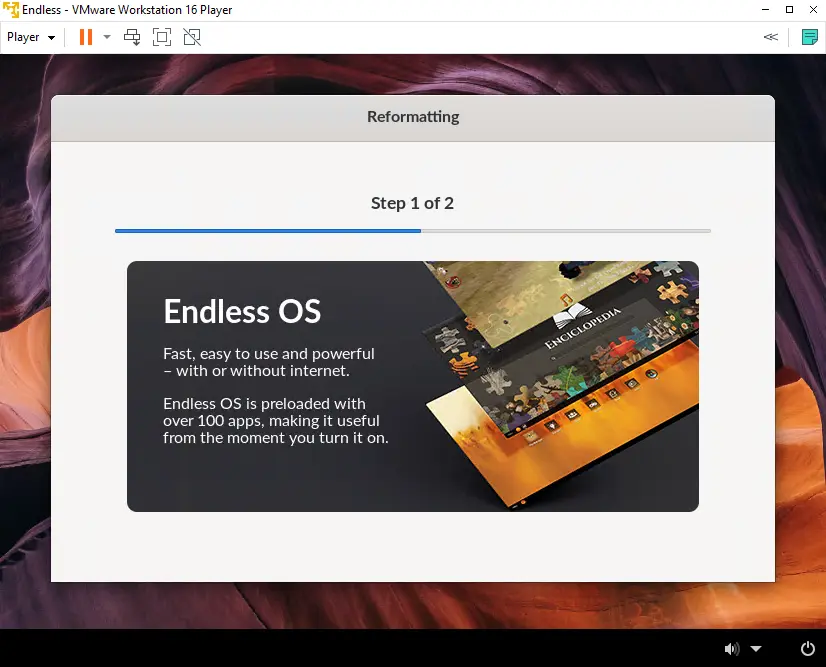 Install Endless OS reformatting