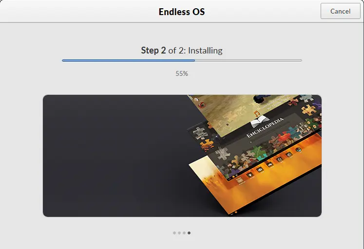 Installing Endless OS Dual Boot