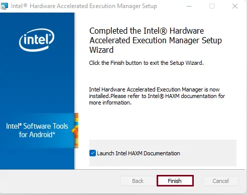 Intel hardware accelerated execution manager