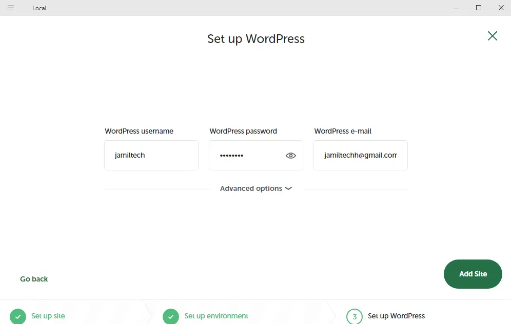 Local by flywheel set up WordPress