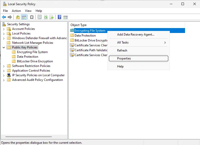 Local security policy encrypting file system