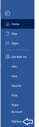 Microsoft Word file menu