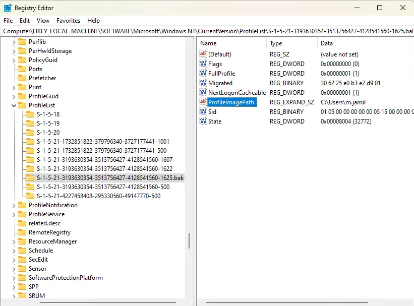 Profilelist registry editor