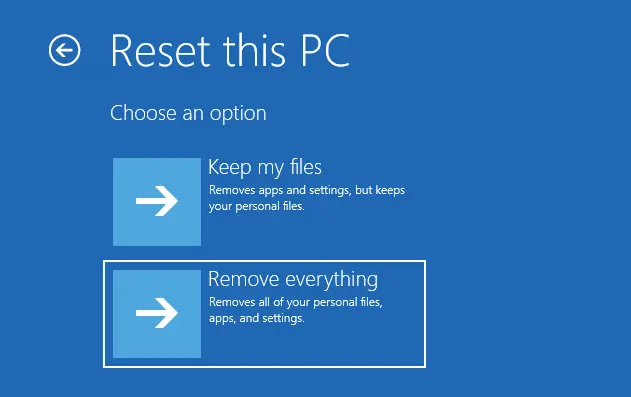 Reset this pc remove everything