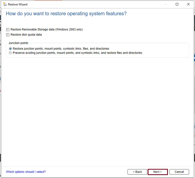 Restore operating system options VERITAS