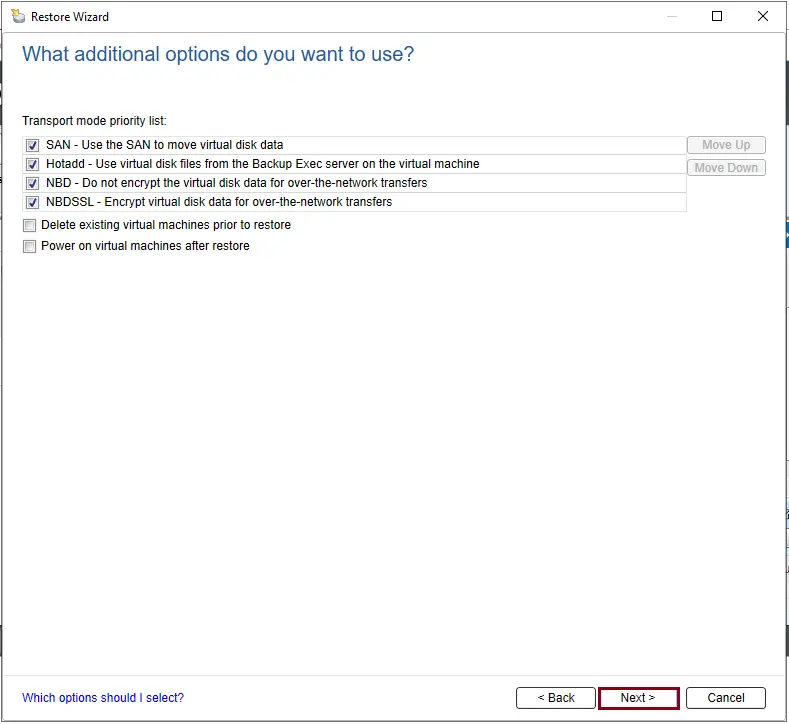 Restore wizard additional options veritas