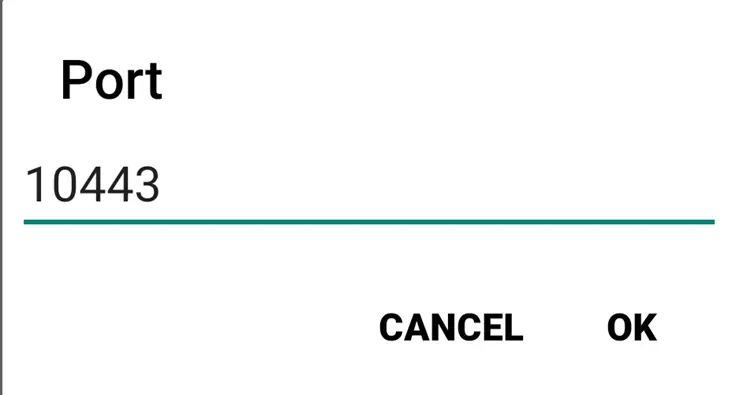 SSL VPN port