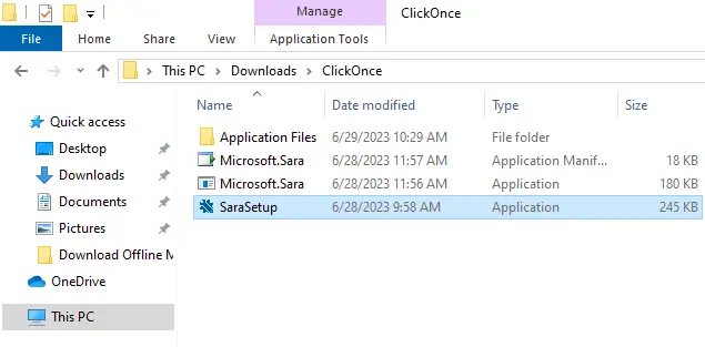 SaraSetup.exe installer