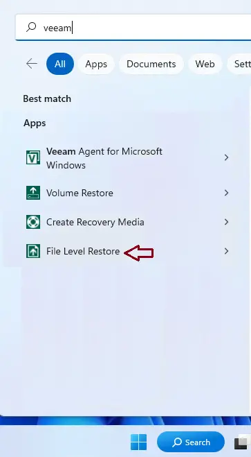 Search file level restore Veeam