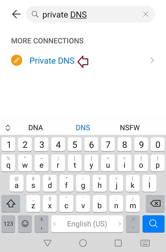 Search private DNS in settings