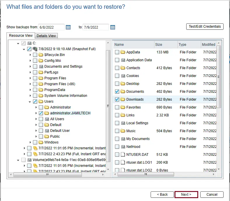 Select files and folder to restore veritas