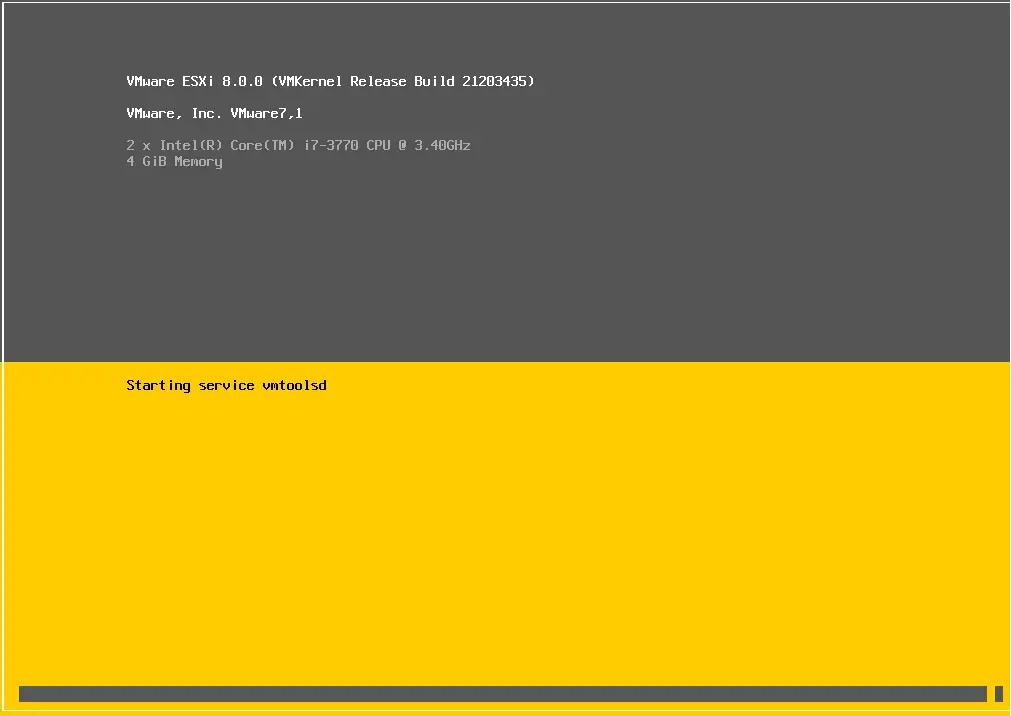 Starting service VMware ESXi 8