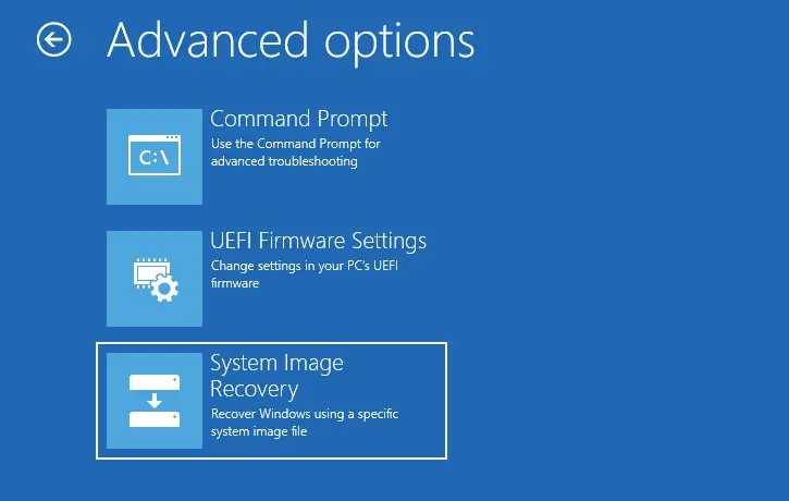 System image recovery advanced options