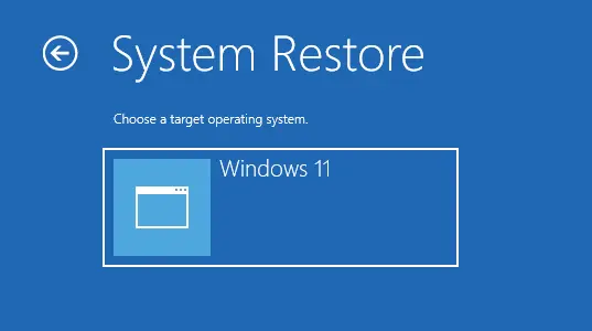 System restore target